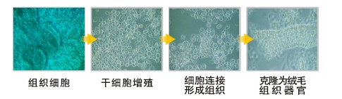 腾博会官网 - 诚信为本,专业效劳!