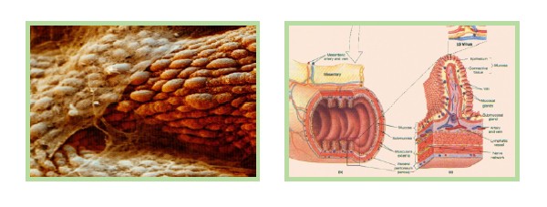 腾博会官网 - 诚信为本,专业效劳!