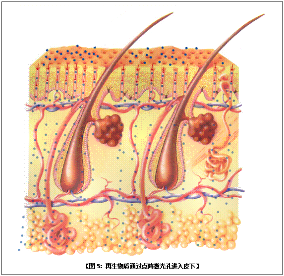 腾博会官网 - 诚信为本,专业效劳!