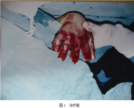 腾博会官网 - 诚信为本,专业效劳!