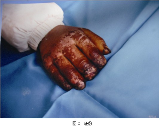 腾博会官网 - 诚信为本,专业效劳!