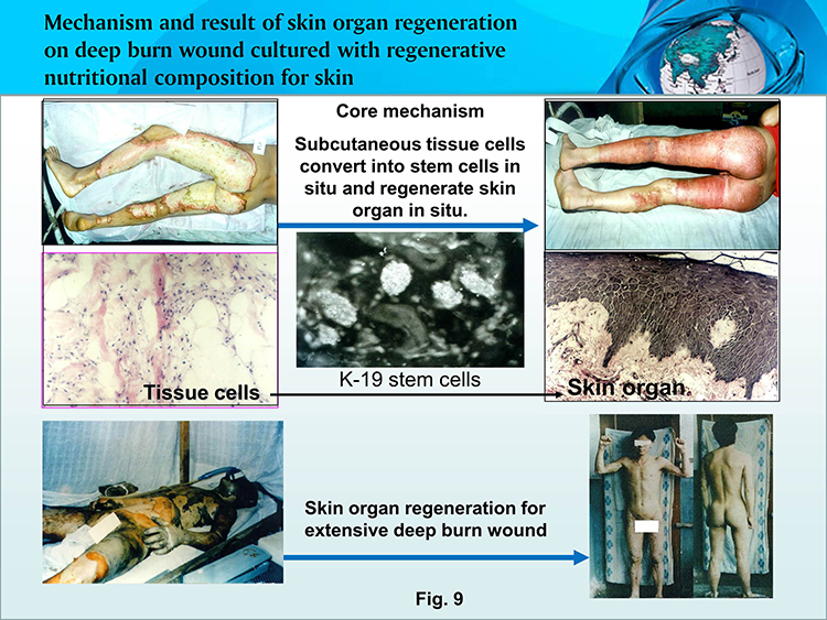 腾博会官网 - 诚信为本,专业效劳!