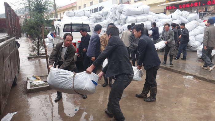 腾博会官网 - 诚信为本,专业效劳!