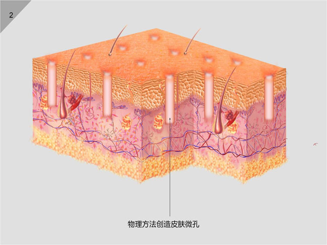 腾博会官网 - 诚信为本,专业效劳!