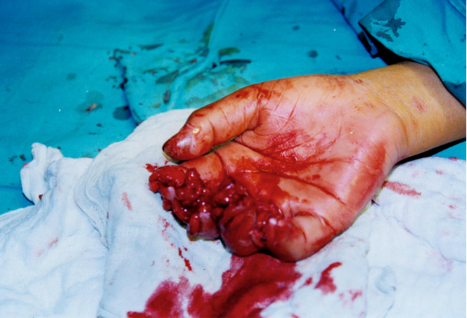 腾博会官网 - 诚信为本,专业效劳!