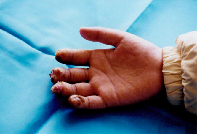 腾博会官网 - 诚信为本,专业效劳!