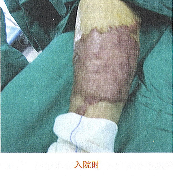 腾博会官网 - 诚信为本,专业效劳!