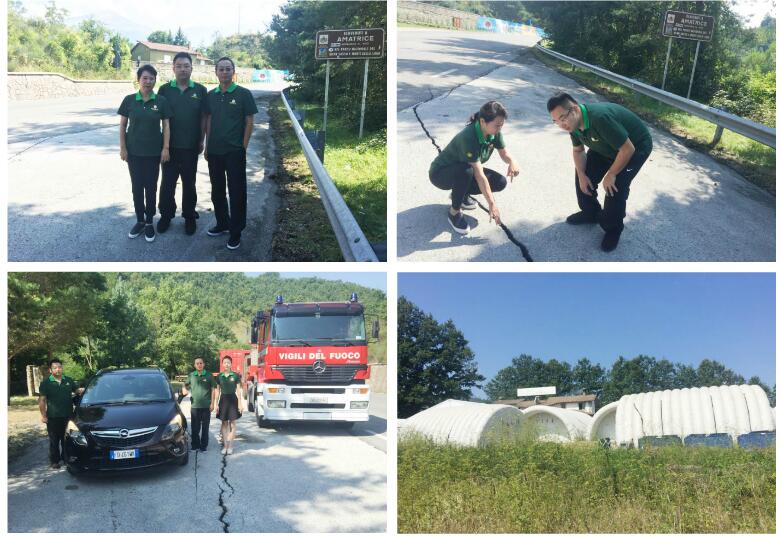 腾博会官网 - 诚信为本,专业效劳!